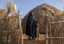 Kala-Azar: Maladie Mortelle des Zones Arides Kala-Azar: Maladie Mortelle des Zones Arides