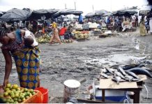 Décentralisation Illusoire et Centralisation au Togo Décentralisation Illusoire et Centralisation au Togo