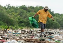 Salubrité Et Gestion Des Déchets: Actions Immediates Exigées Salubrité Et Gestion Des Déchets: Actions Immediates Exigées