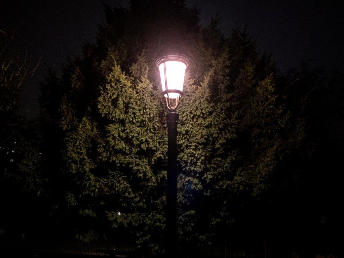 L'éclairage Urbain a un Effet Étonnant sur Vos Allergies L'éclairage Urbain a un Effet Étonnant sur Vos Allergies