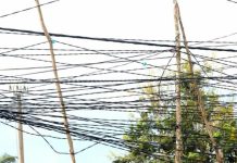 Fin Du Phénomène Araignée Au Togo? Fin Du Phénomène Araignée Au Togo?