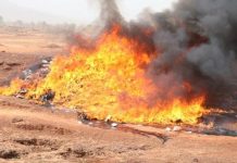 Des milliers de litres de sodabi frelaté détruits au Togo Des milliers de litres de sodabi frelaté détruits au Togo