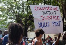 Chlordécone: Appel du Non-Lieu Reporté à 2026 Chlordécone: Appel du Non-Lieu Reporté à 2026