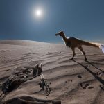 Le Petit Dinosaure de Patagonie aux Long Bras Le Petit Dinosaure de Patagonie aux Long Bras