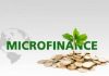 Togo Adopte Une Loi Pour Encadrer La Microfinance Togo Adopte Une Loi Pour Encadrer La Microfinance