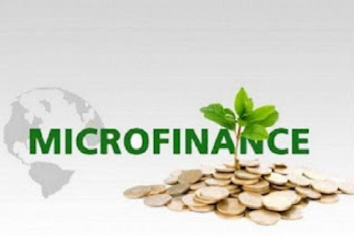 Togo Adopte Une Loi Pour Encadrer La Microfinance Togo Adopte Une Loi Pour Encadrer La Microfinance