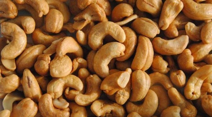 Togo Imposition D’un Quota Pour Soutenir Usines Cajou Togo Imposition D'un Quota Pour Soutenir Usines Cajou