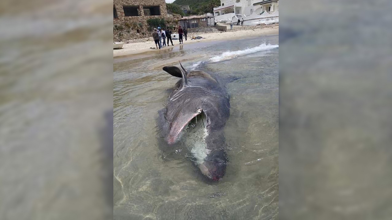 b804aa74-c8d7-44c2-acb8-9e5b9ec95d12