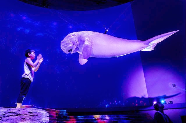صناعة التصوير التجسيمي الهولوجرام Holography أو الهولوغرام Hologram