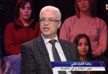 الكزدغلي: حزبا محسن مرزوق وعبير موسي متواطئان مع الإمارات في صفقة القرن