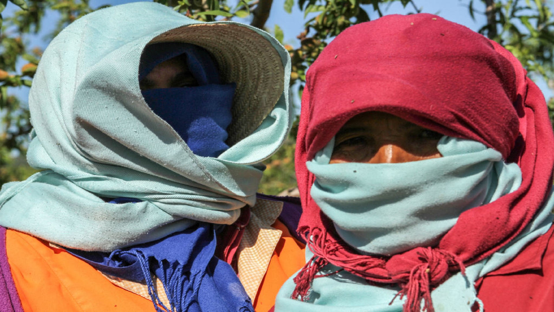 Farmers covering their face with shawls as precaution