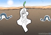 تونس .. أزمة هيكلية للنظام السياسي
