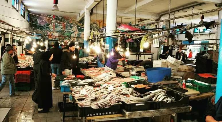 بنزرت: حجز 500 كلغ من سمك التونة الفاسد بنزرت: حجز 500 كلغ من سمك التونة الفاسد