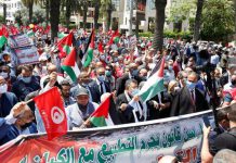 تونسيون يستذكرون أيام التحرير: لا طريق سوى المقاومة تونسيون يستذكرون أيام التحرير: لا طريق سوى المقاومة