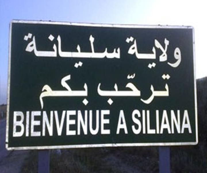 سليانة: القبض بالكريب على 18 مجتازا للحدود الجزائرية التونسية من أصول إفريقية من بينهم إمراة و3 قصر سليانة: القبض بالكريب على 18 مجتازا للحدود الجزائرية التونسية من أصول إفريقية من بينهم إمراة و3 قصر