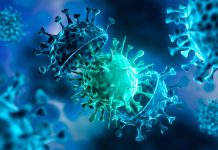 عالمان مصري وألماني يتنبآن بموعد انحسار فيروس كورونا عالمان مصري وألماني يتنبآن بموعد انحسار فيروس كورونا