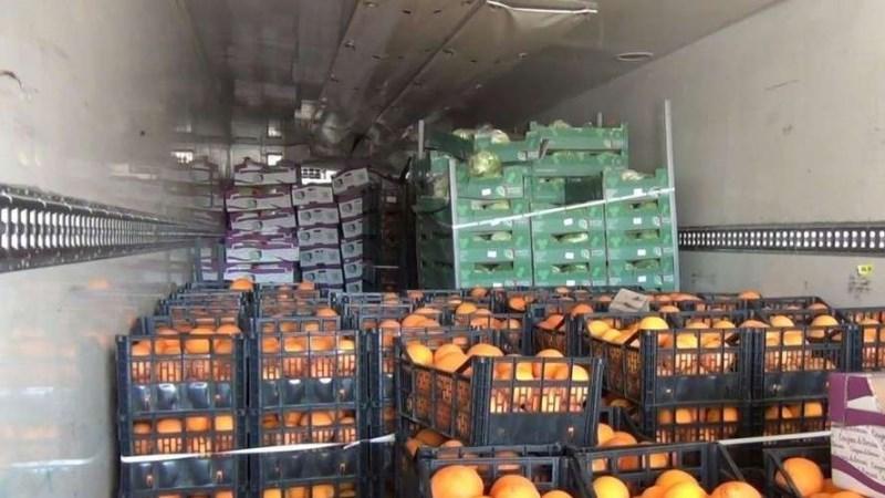 حجز 11 طنا من الغلال بنابل و5 آلاف لتر من المياه مجهولة المصدر ببنعروس حجز 11 طنا من الغلال بنابل و5 آلاف لتر من المياه مجهولة المصدر ببنعروس