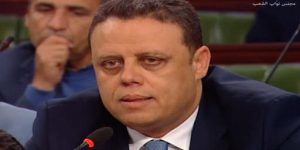 هيكل المكي - نائب في البرلمان التونسي