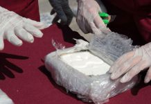 مطالبات بالكشف عن مافيا المخدرات بعد ضبط نصف طن من الكوكايين كانت متجهة من الإكوادور إلى تونس مطالبات بالكشف عن مافيا المخدرات بعد ضبط نصف طن من الكوكايين كانت متجهة من الإكوادور إلى تونس