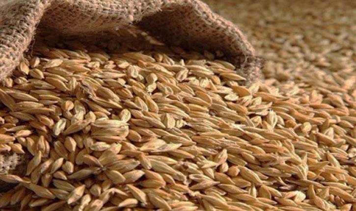 التجارة العالمية تحذر من خطر اندلاع اضطرابات بسبب ارتفاع أسعار الغذاء التجارة العالمية تحذر من خطر اندلاع اضطرابات بسبب ارتفاع أسعار الغذاء