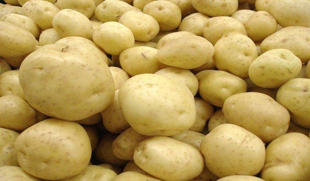 المنستير: حجز 2 طن من البطاطا و300 كغ من اللحوم البيضاء الفاسدة وإتلافها المنستير: حجز 2 طن من البطاطا و300 كغ من اللحوم البيضاء الفاسدة وإتلافها