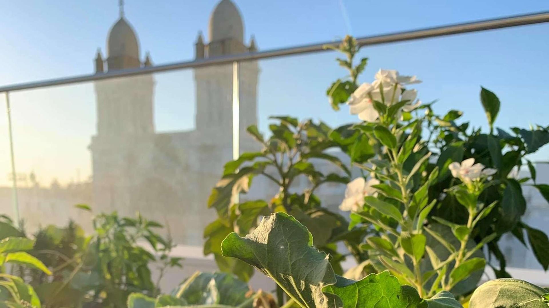 فلاحو تونس يشتكون تهميش القطاع ويطالبون الحكومة بحوار شامل فلاحو تونس يشتكون تهميش القطاع ويطالبون الحكومة بحوار شامل