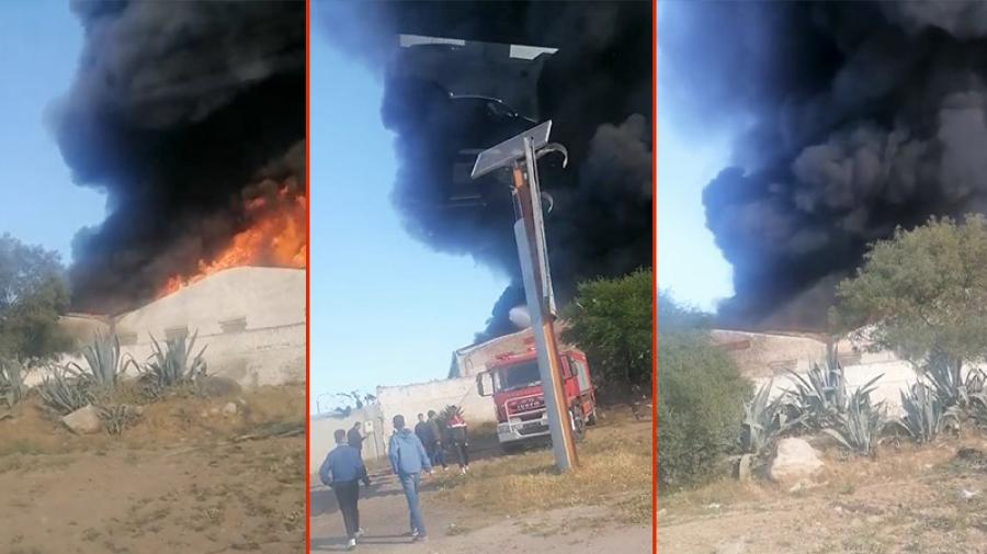 نشوب حريق بمصنع للملابس المستعملة ببن عروس .. وجهود إخماد النيران متواصلة نشوب حريق بمصنع للملابس المستعملة ببن عروس .. وجهود إخماد النيران متواصلة