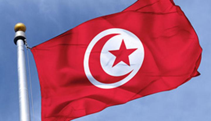 نداء للتعقل نداء للتعقل