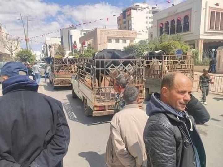 صفاقس: وقفتان احتجاجيتان أمام مقر الولاية لعدد من الفلاحين ولموظّفي الديوان الوطني للحبوب صفاقس: وقفتان احتجاجيتان أمام مقر الولاية لعدد من الفلاحين ولموظّفي الديوان الوطني للحبوب