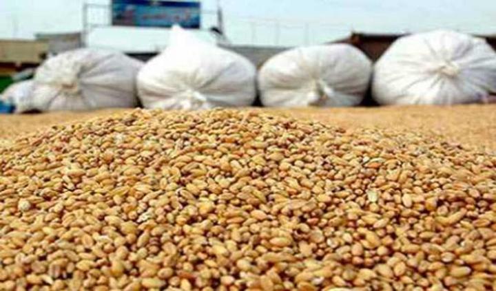 اقرار جملة من الاجراءات للتقليص من توريد الحبوب وتحسين مردوديته في تونس اقرار جملة من الاجراءات للتقليص من توريد الحبوب وتحسين مردوديته في تونس