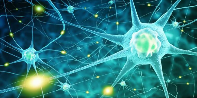 الأمراض العصبية وكيفية مواجهاتها الأمراض العصبية وكيفية مواجهاتها