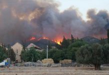 حريق هائل في جبل بوقرنين جنوب تونس وإعلان حالة الطوارئ حريق هائل في جبل بوقرنين جنوب تونس وإعلان حالة الطوارئ