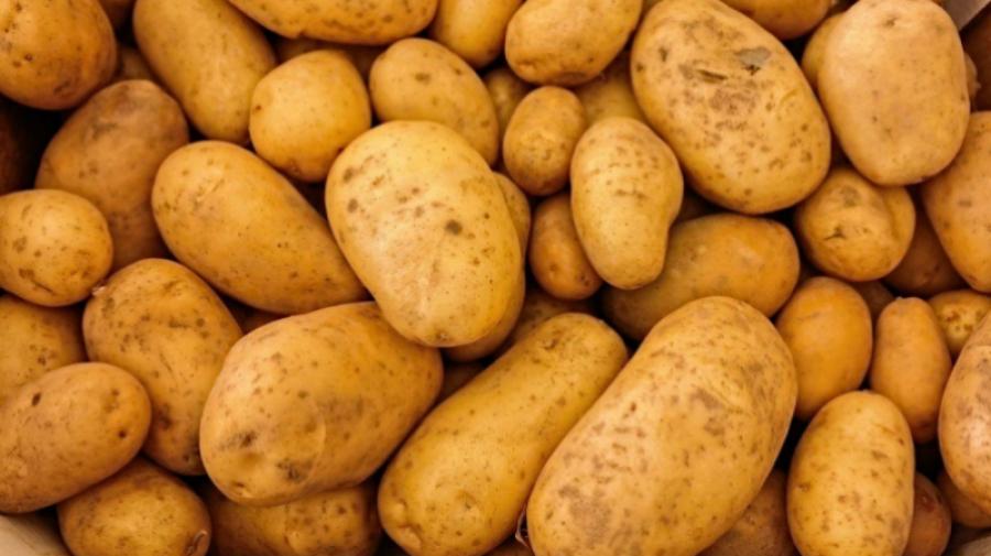 القصرين: حجز أكثر من 33 طنا من البطاطا القصرين: حجز أكثر من 33 طنا من البطاطا