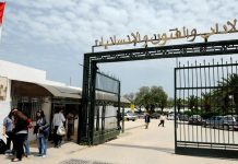 الهجرة تهدد التعليم العالي في تونس الهجرة تهدد التعليم العالي في تونس