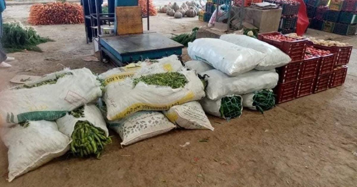 تونس تعيش 