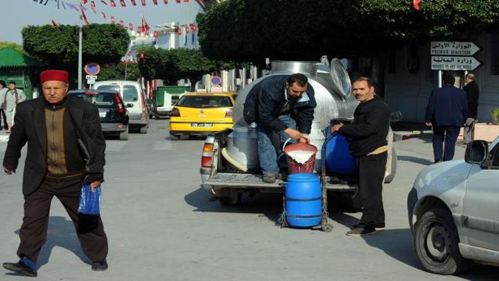 منظومة إنتاج الألبان تتهاوى