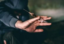 خطوات جديدة في مكافحة إدمان المخدرات خطوات جديدة في مكافحة إدمان المخدرات