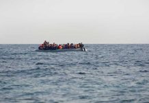 هل تونس طاردة لأبنائها؟ هل تونس طاردة لأبنائها؟