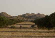 “حرقة”: سيناريو محكم وأداء رائع "حرقة": سيناريو محكم وأداء رائع