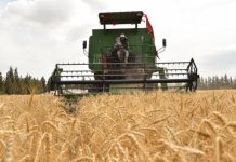 قلق من حجز البنوك إيرادات المحاصيل الزراعية قلق من حجز البنوك إيرادات المحاصيل الزراعية