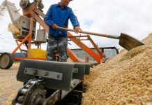 روسيا تستميل الأفارقة بالقمح… وطرق وعرة للإمدادات الأوكرانية روسيا تستميل الأفارقة بالقمح... وطرق وعرة للإمدادات الأوكرانية