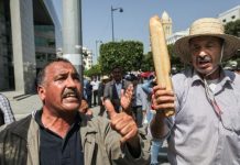 الأسباب الحقيقية لأزمة الخبز في تونس الأسباب الحقيقية لأزمة الخبز في تونس