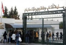 حائزو بكالوريا الآداب في تونس.. آفاق ضيقة بالجامعات حائزو بكالوريا الآداب في تونس.. آفاق ضيقة بالجامعات
