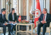 تونس وكوريا الجنوبية تبحثان تطوير التعاون الثنائي تونس وكوريا الجنوبية تبحثان تطوير التعاون الثنائي