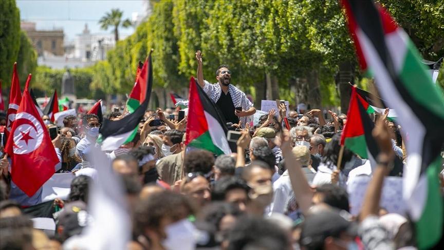 تونس تعبّر عن وقوفها الكامل وغير المشروط إلى جانب الشعب الفلسطيني تونس تعبّر عن وقوفها الكامل وغير المشروط إلى جانب الشعب الفلسطيني