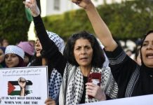 “شبكة تصفية الاستعمار”.. تضامنٌ مع معركة التحرير "شبكة تصفية الاستعمار".. تضامنٌ مع معركة التحرير