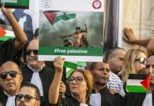 امتناع تونس عن التصويت على قرار أممي يدعو لهدنة في غزة يثير جدلاً امتناع تونس عن التصويت على قرار أممي يدعو لهدنة في غزة يثير جدلاً