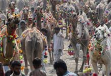 ارتفاع حرارة الكوكب… وباء آخر تنتظره البشرية ارتفاع حرارة الكوكب… وباء آخر تنتظره البشرية