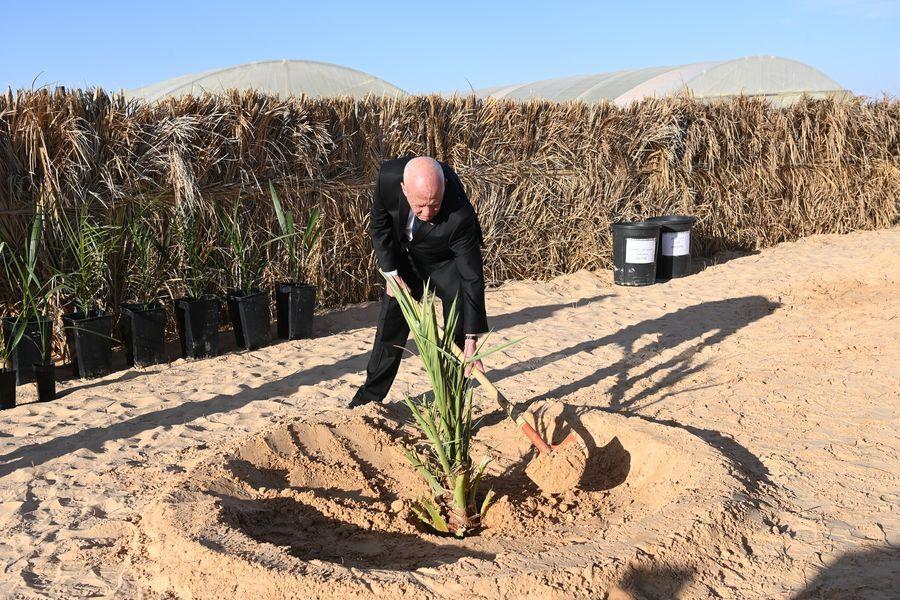 في عيد الشجرة .. رئيس الدولة يتنقل إلى منطقتي رجيم معتوق والمحدث من ولاية قبلي في عيد الشجرة .. رئيس الدولة يتنقل إلى منطقتي رجيم معتوق والمحدث من ولاية قبلي