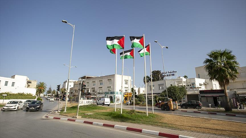 العلم الفلسطيني.. راية للفخر ترفرف في أنحاء تونس